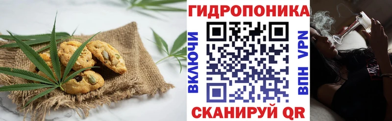 Cannafood конопля  darknet формула  Алексин  закладка 