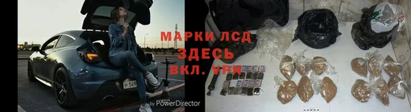 сатива Абинск